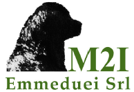 Emmeduei Srl